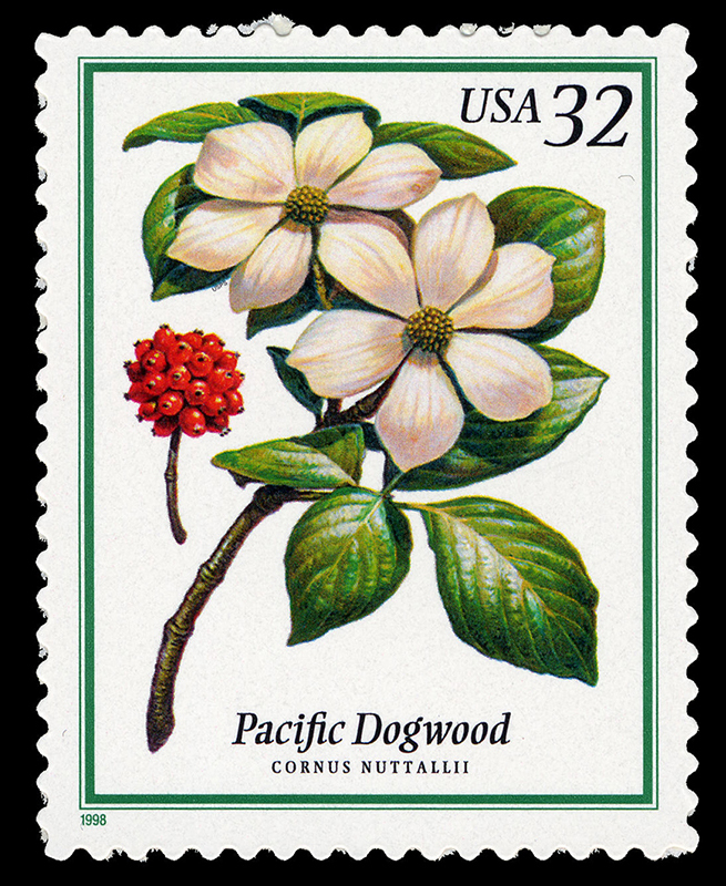 Cornejo del Pacífico. Sello de la serie Árboles en flor (1998).