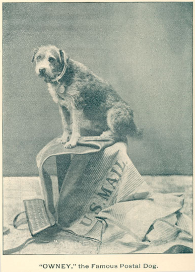 Owney Stamp National Postal Museum