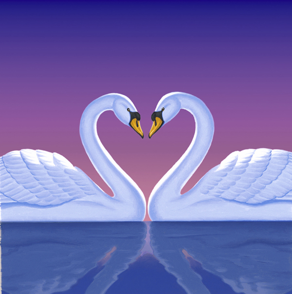 swan love loan