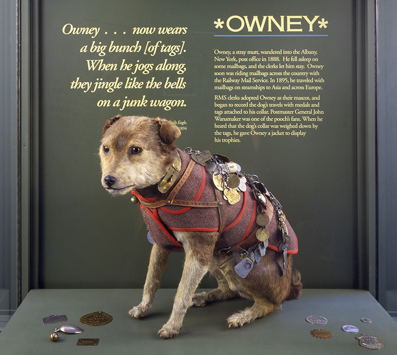 Owney the Dog on exhibit