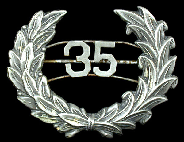 Wreathe-style design Badge of service