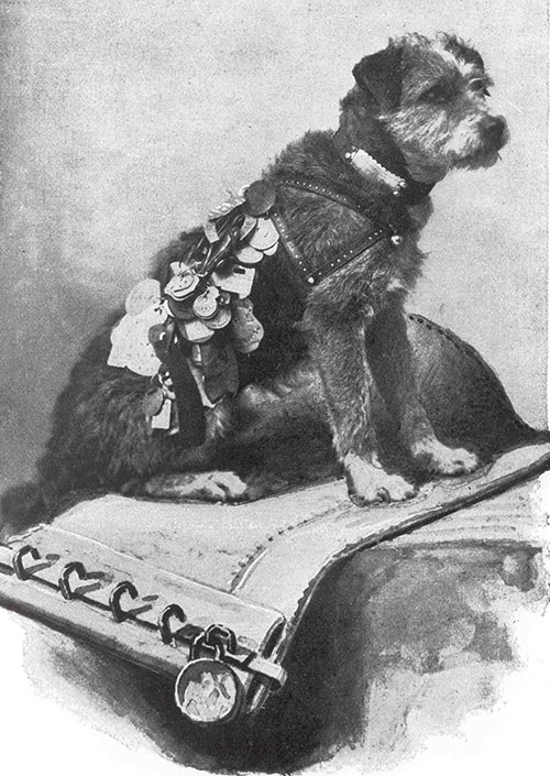1890s drawing of Owney sitting on a mailbag