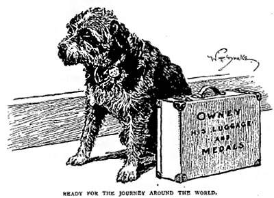 A drawing of Owney the dog sitting with a suitcase