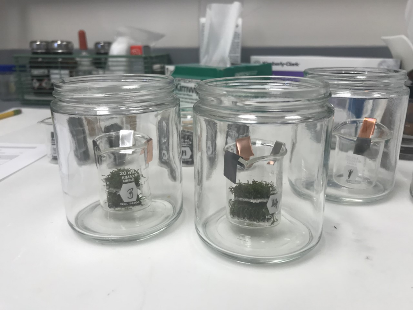 Photo of small beakers of shredded synthetic turf with folded pieces of metal, inside glass jars
