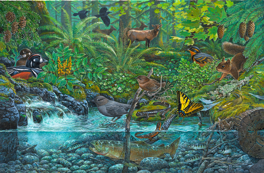 painting of a Pacific Coast rain forest