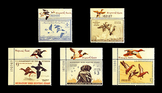 Reece created these remarques of the five Federal Duck Stamps he designed