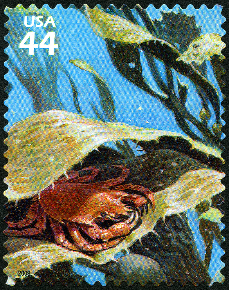 44-cent Northern Kelp Crab stamp
