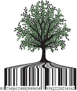 Sketch of a tree with bar code as roots