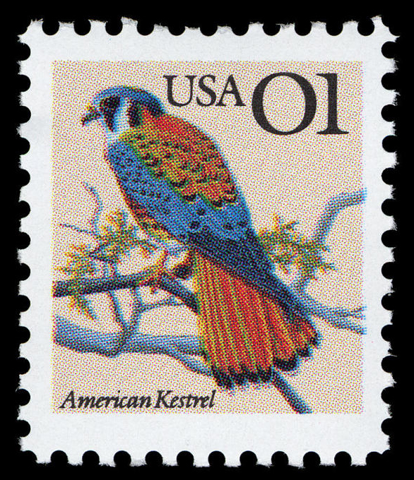 USA Used Postage Stamps Flora & Fauna Plants Philately Vintage Animals 9 Stamps Collection ~ 20-01-15 AA 1990-1999