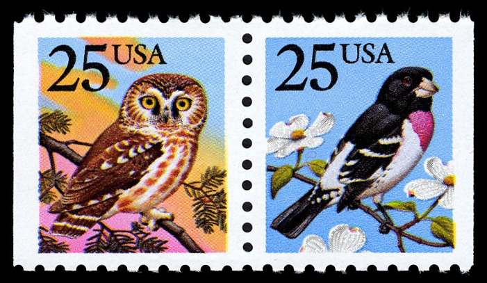 American Kestrel USPS 1 Cent Stamp Sheet of 50
