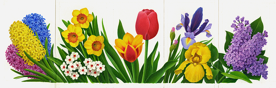 Diseño. Emisión de sellos "Spring Garden Flowers" (1993).