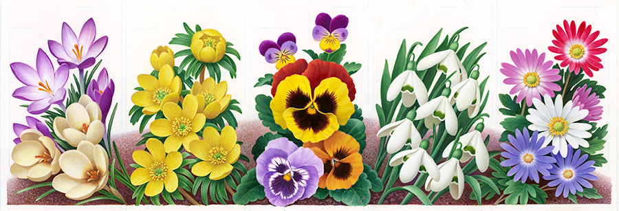 Diseño. Emisión de sellos "Winter Garden Flowers" (1993).