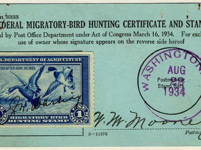 Duck Stamps National Postal Museum