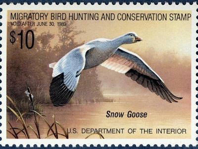 Hunting Permit Duck Stamps National Postal Museum