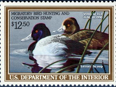 Hunting Permit Duck Stamps National Postal Museum